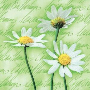 Blooming Daisies Green Napkins (20)