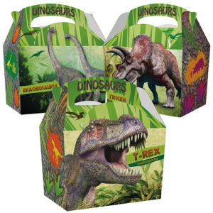 Dinosaur Meal Boxes (3)