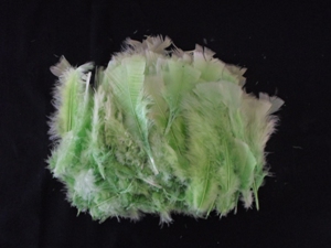 Feathers 10cm - Green (20)