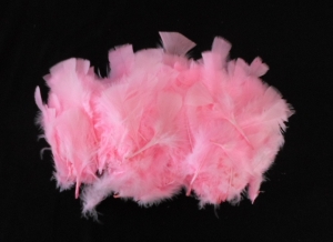 Feathers 10cm - Baby Pink (20)