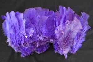 Feathers 10cm - Purple (20)