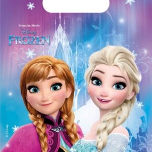 Frozen Northern Lights Party Bags (6)