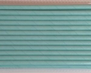 Paper Straws - Light Blue (24)