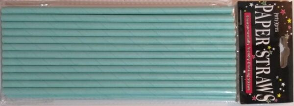 Paper Straws - Light Blue (24)