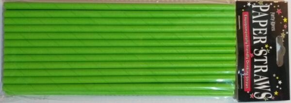 Paper Straws - Lime (24)