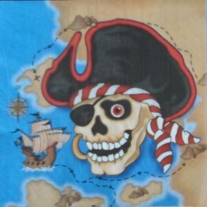 Pirates Napkins (12)